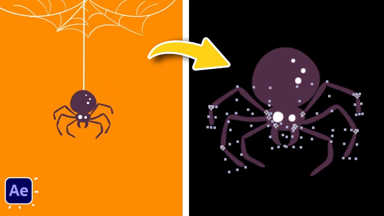 Spider Animation Without Keyframes in After Effects Tutorials