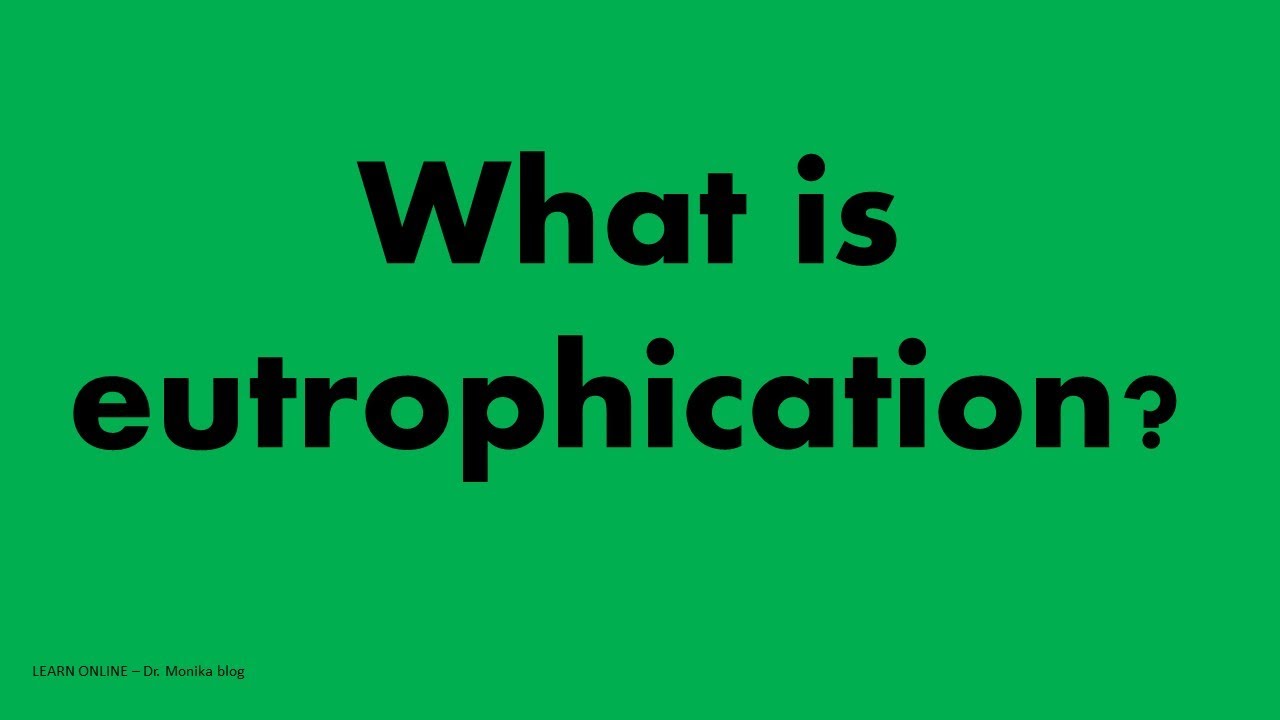 |What is Eutrophication| EUTROPHICATION DEFINITION || EXPLANATION OF EUTROPHICATION PROCESS|