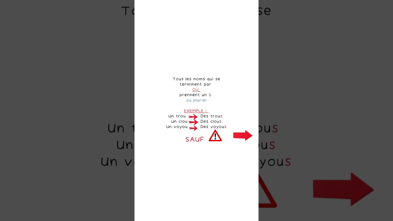 Le pluriel des mots en OU et les exceptions. 