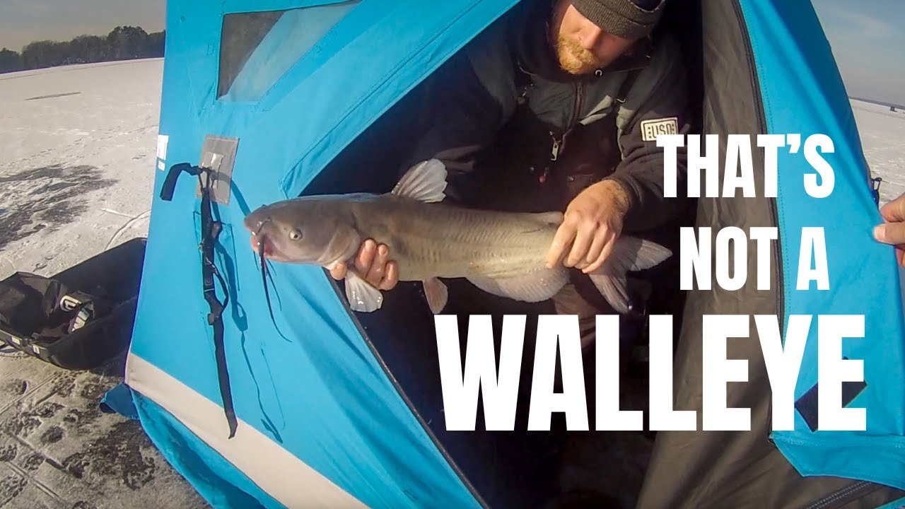 Walleye Fishing Through the Ice
