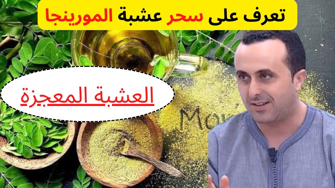 تعرف على اسرار عشبة المورينجا🌿🌿 وطريقة ا ستهلاكها مع الدكتور نبيل العياشي👨‍⚕️