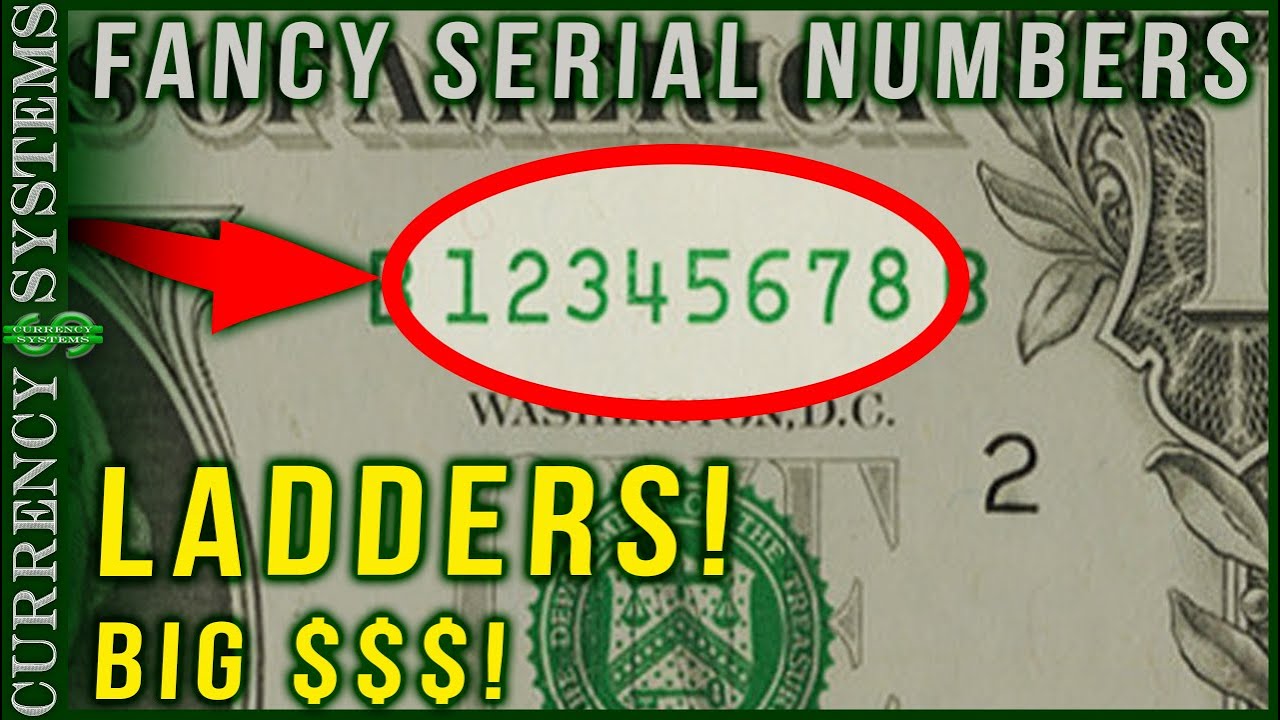 Everything Ladders, They go up, they go down, they go all around! Top ten varieties.