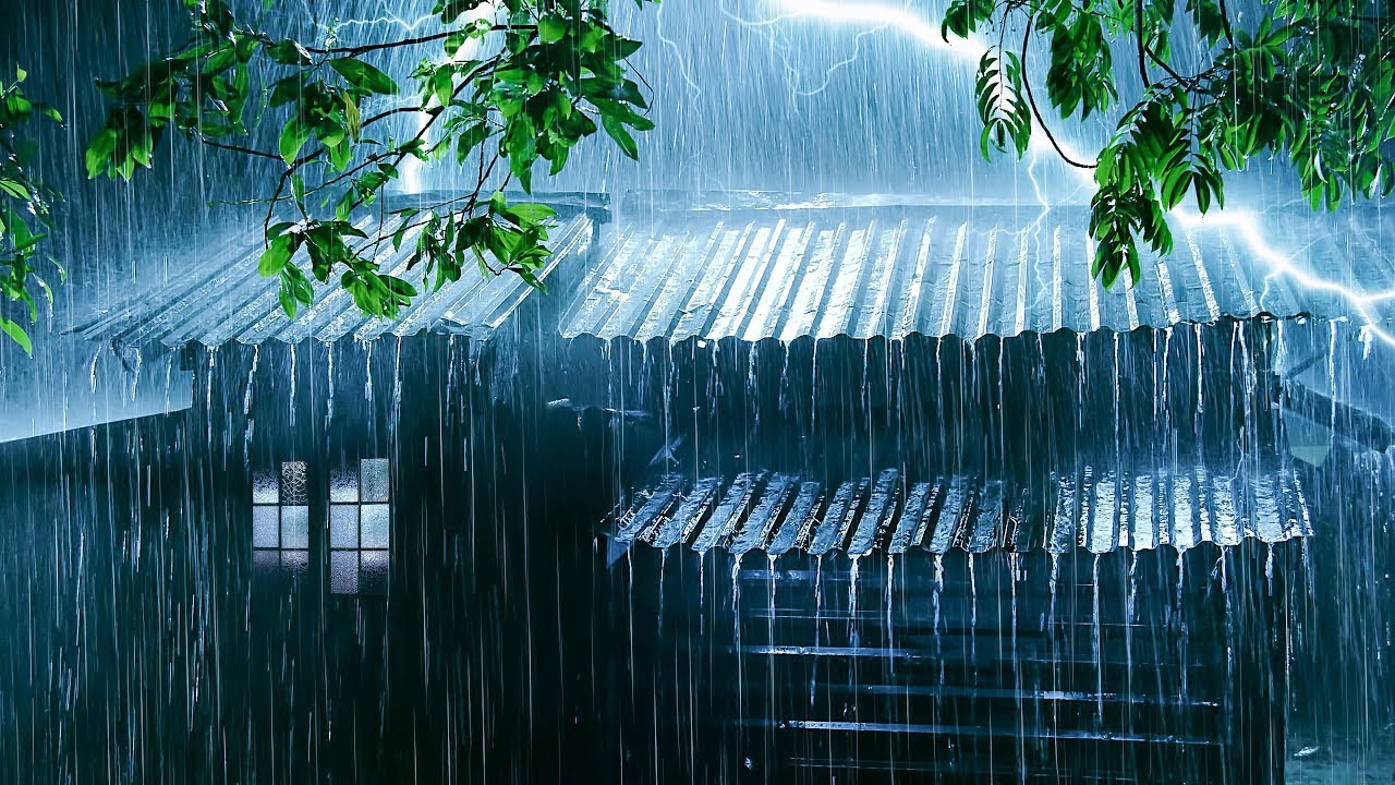 Calm Rain | Backyard Garden Rainfall for Gentle Sleep (LIVE 24/7)