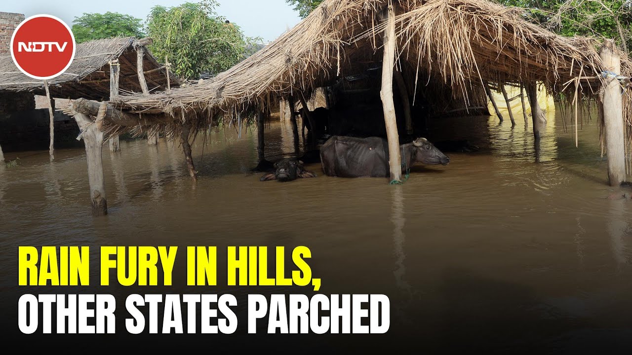 North-India Rain | Several States Struggling With Below-Normal Rain