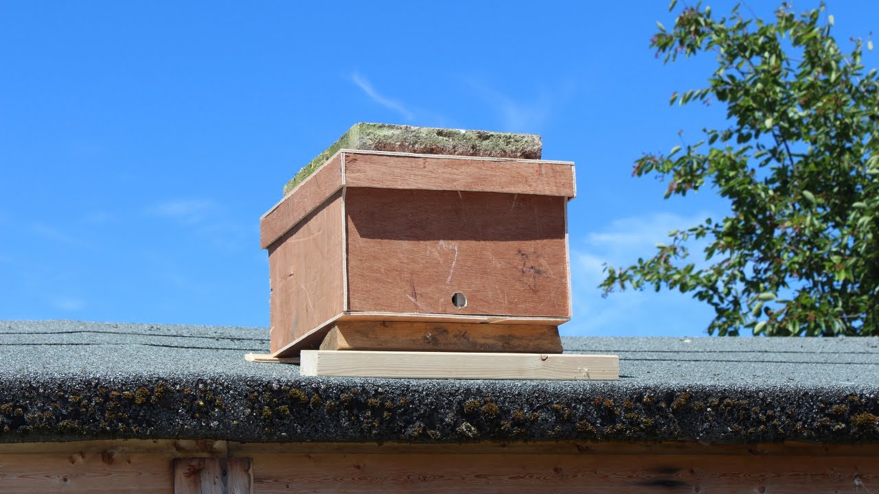 Bait Hive (Beekeeping UK Vlog 1)