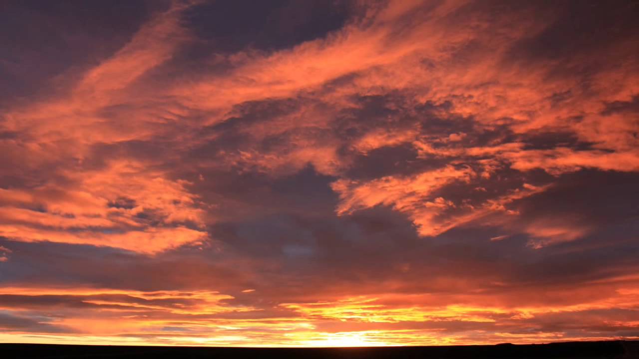 Looking East-Jackson Browne