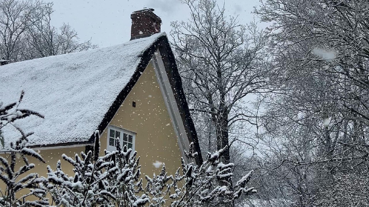 Snowy Cottage Morning & A Sunday Roast