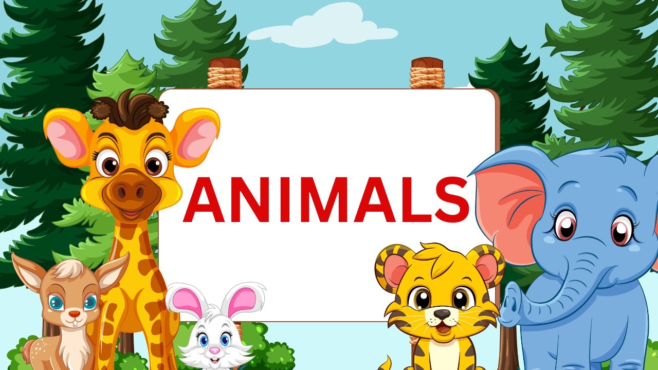 Animals |Video of animals | kids learning video | Learn animals names in English | @toodleskids01
