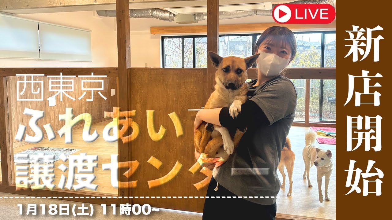 【LIVE】祝！西東京譲渡センターが完成しました！！！