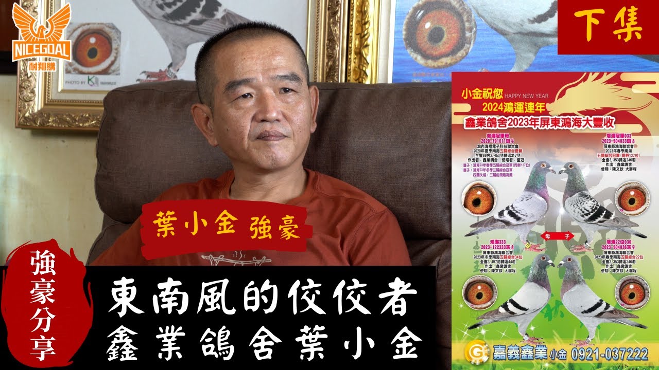 【強豪分享】東南風的佼佼者，鑫業鴿舍葉小金(下集) ｜耐翔購