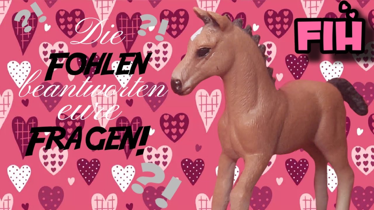 Schleich/Fohlen Internat Hufenglück Q&A❤/Die Fohlen beantworten eure Fragen!😍😱/Lilly Flizi💗