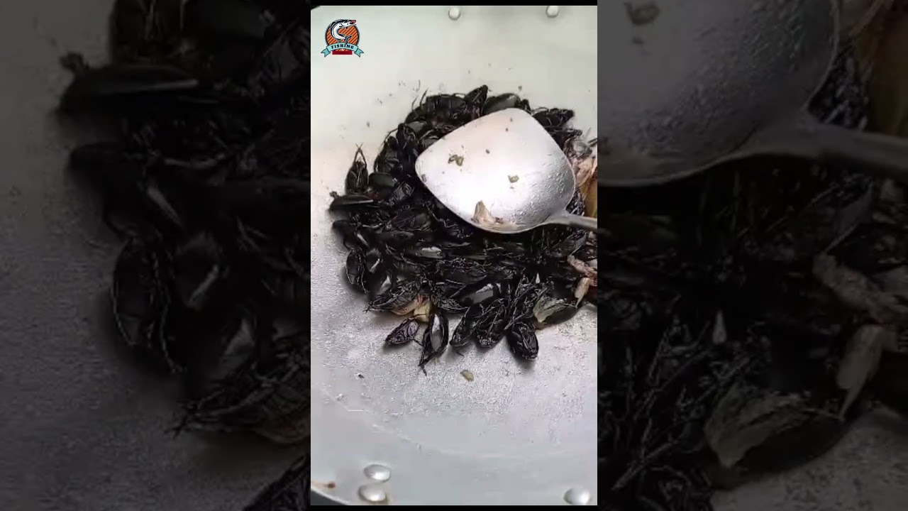 Cooking water betle for eat 