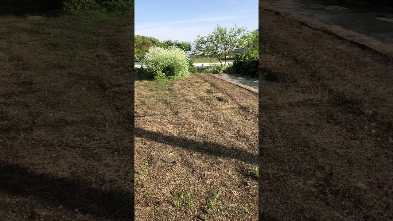 Ch&aacute;cara do meu amigo japon&ecirc;s