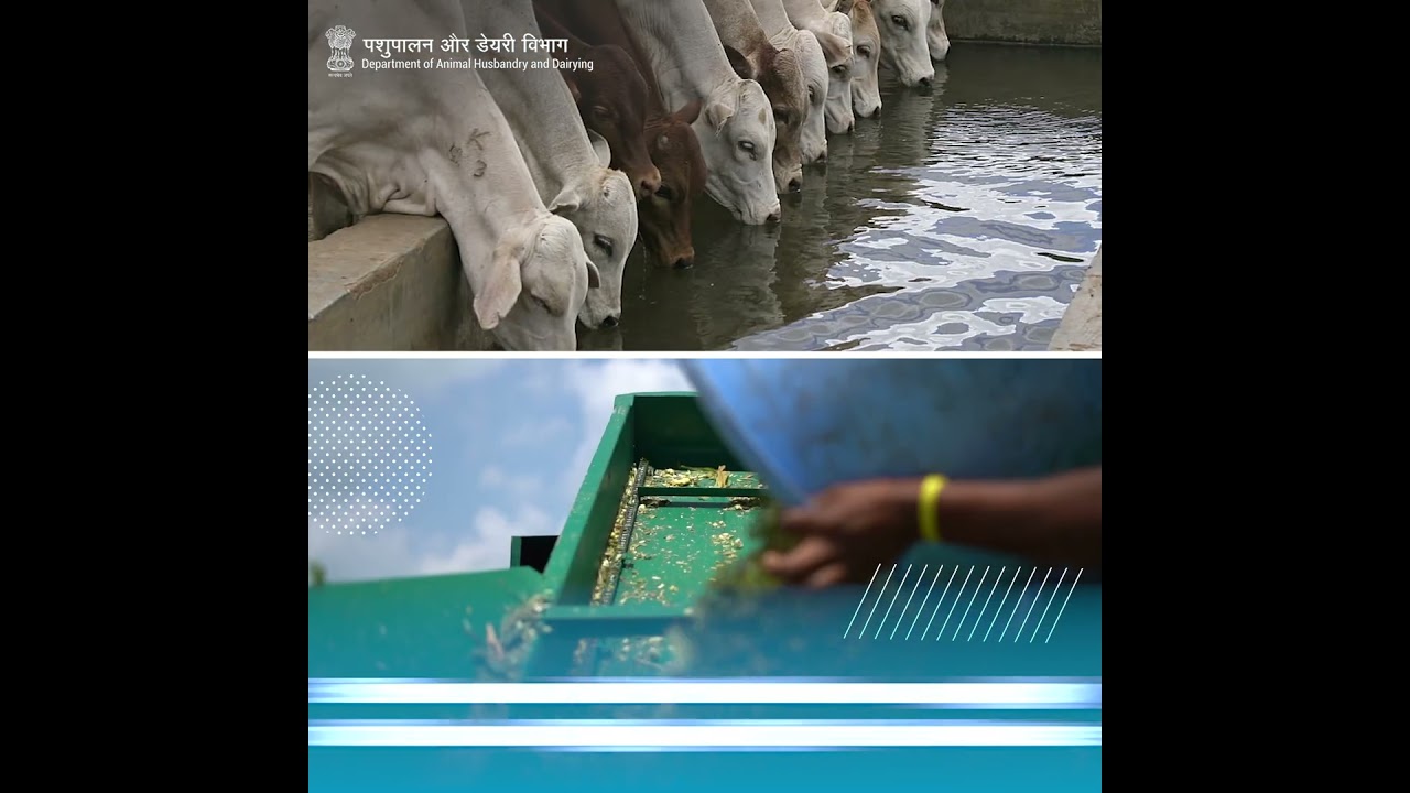 Sanitation and Hygiene in Farms