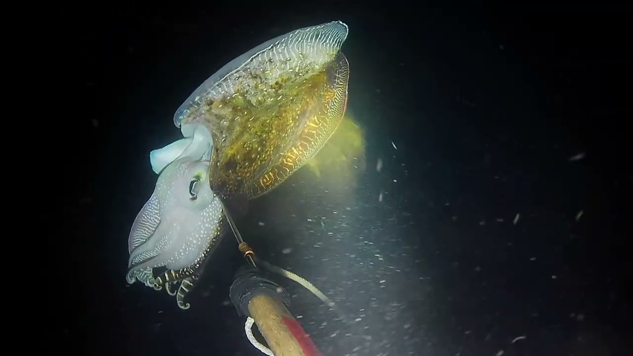 Ep17: NAKA PAMASKO SA DAGAT 