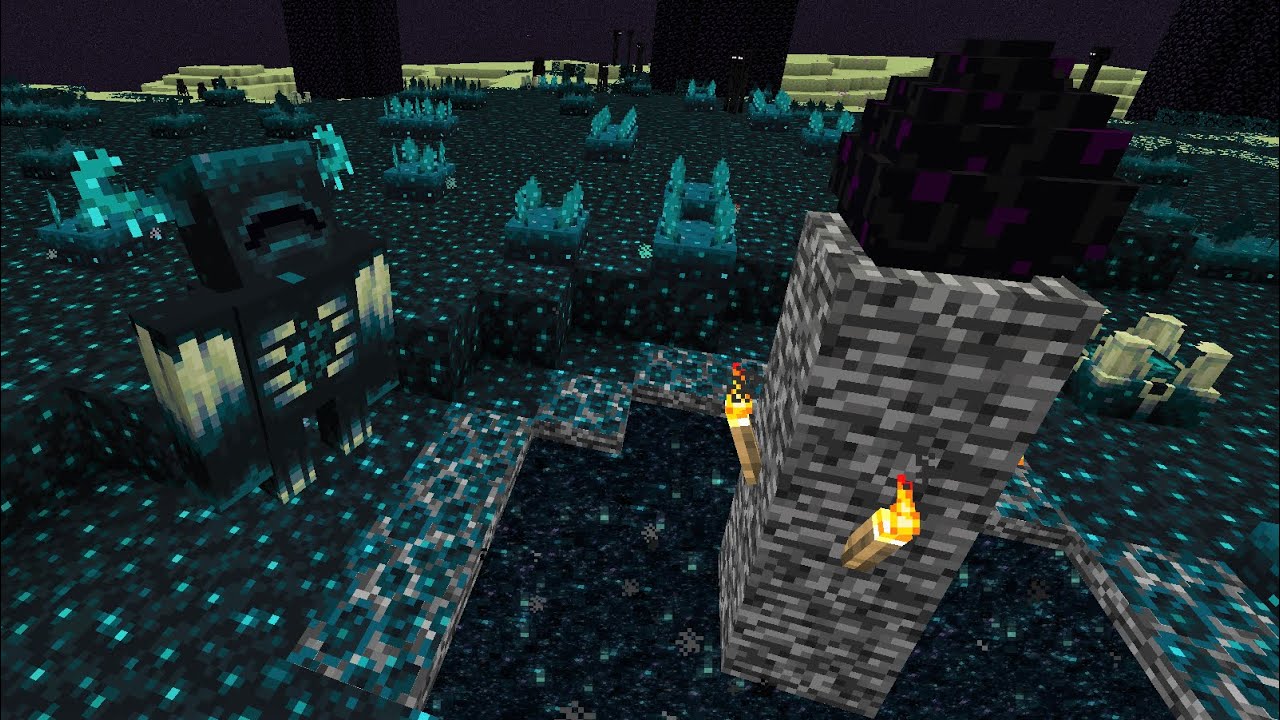 So the Warden can spawn in the End...