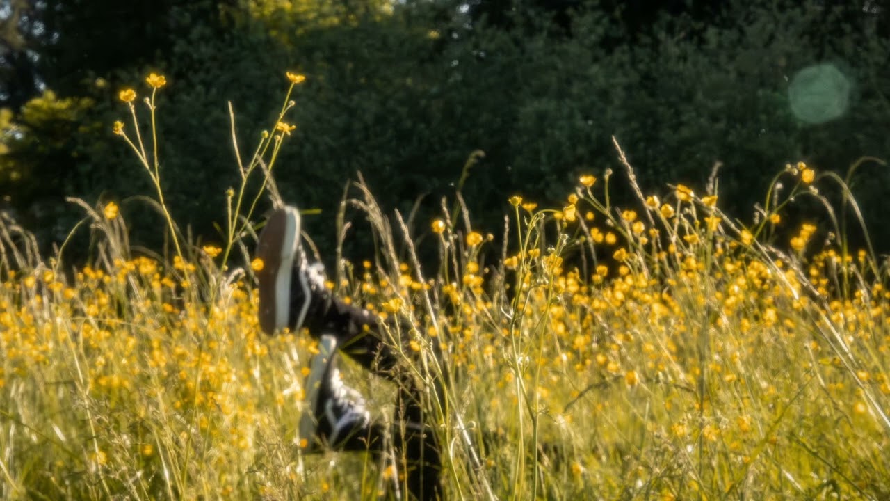 Braden Ross - unalive (acoustic) [OFFICIAL AUDIO]