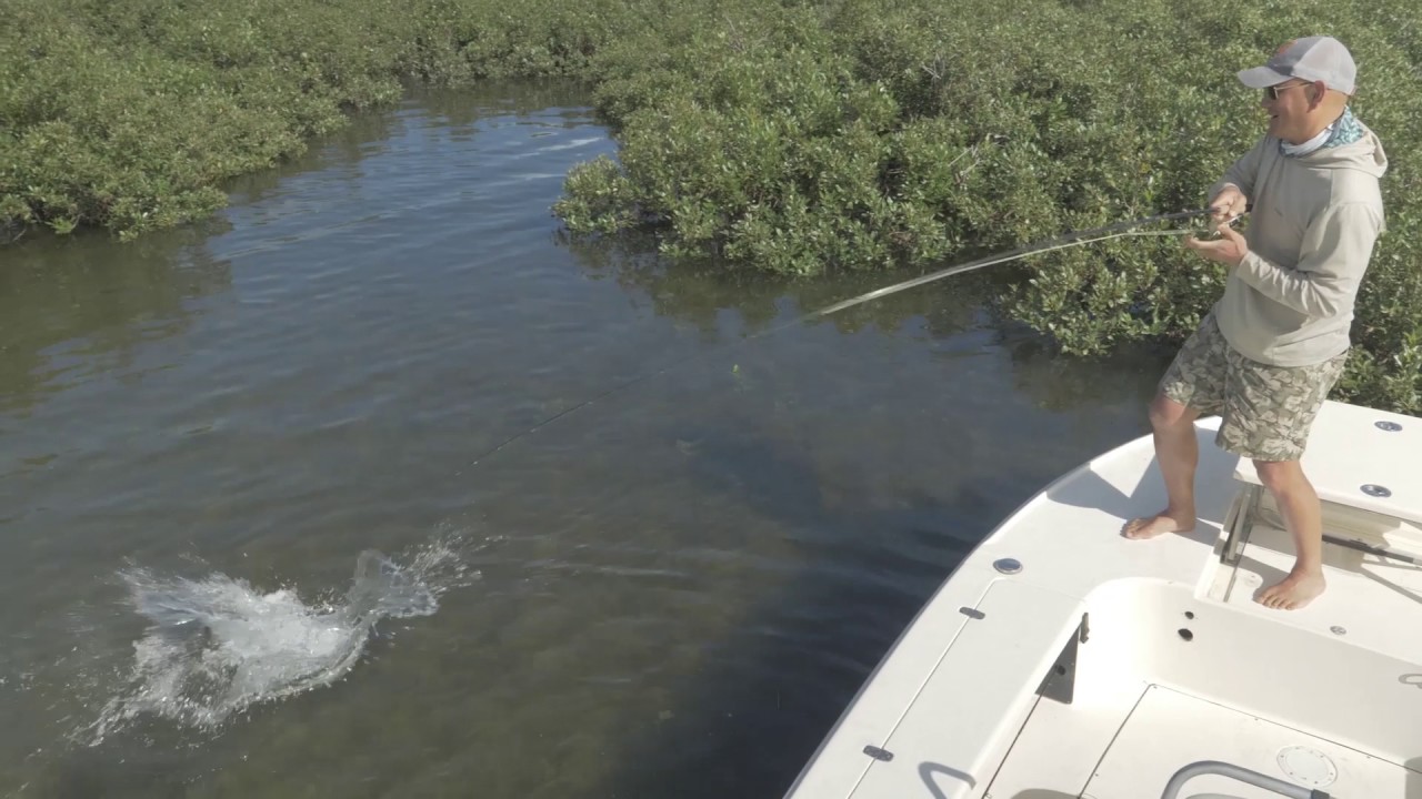 Shallow Water Sight Fly Fishing for Snapper