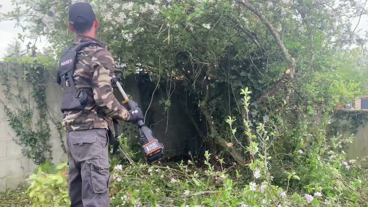 Gros débroussaillage d’un buisson de ronces