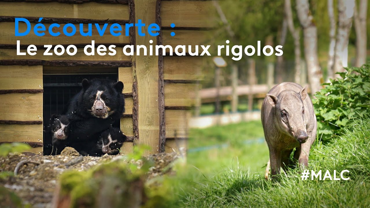 Découverte : des animaux rares au cœur de la Normandie