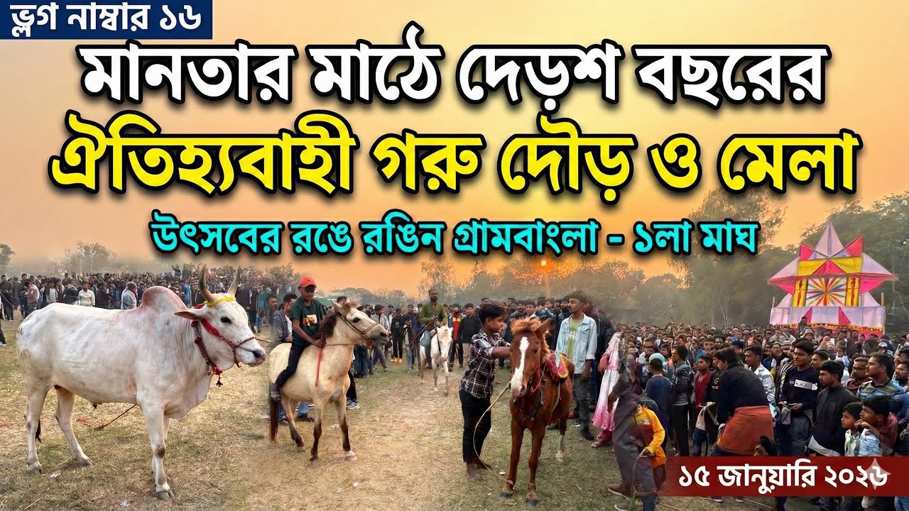মানতার মাঠে ১৫০ বছরের ঐতিহ্যবাহী গরু দৌড় ও মেলা! 🐂🐎 গ্রামবাংলার উৎসব | Vlog 16