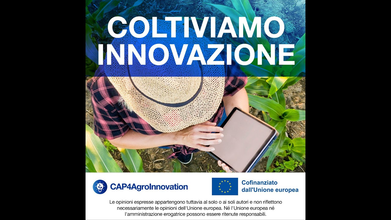 AKIS? Il misterioso acronimo