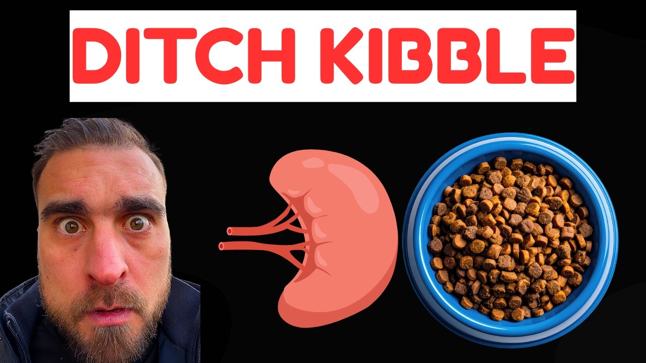 Если кошкам с заболеваниями почек необходима влага… Почему корм для кошек с почечными заболевания...