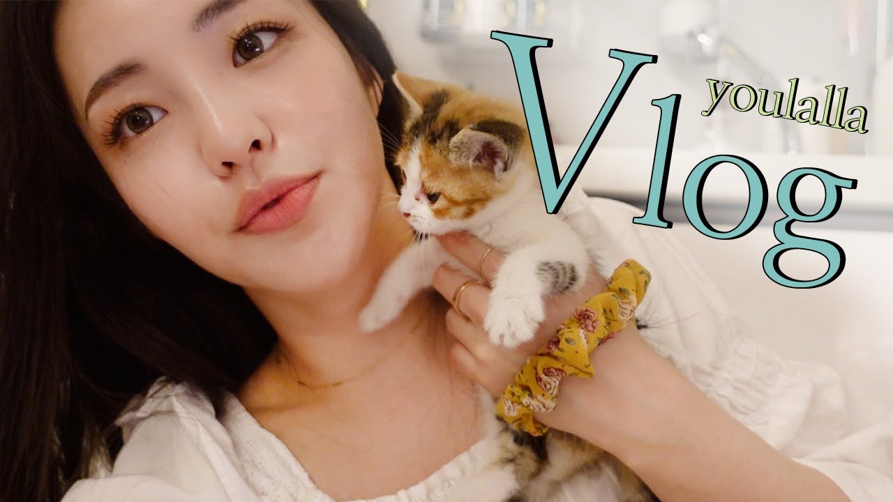 [Eng][vlog] 생일 갤러리 갔다가 고양이 키우다가 제주도로 떠나버리는 브이로그