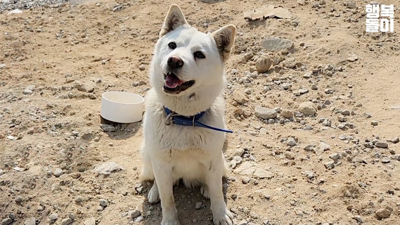 내마음속 머물다, 어느틈에 사라져버린 너에게