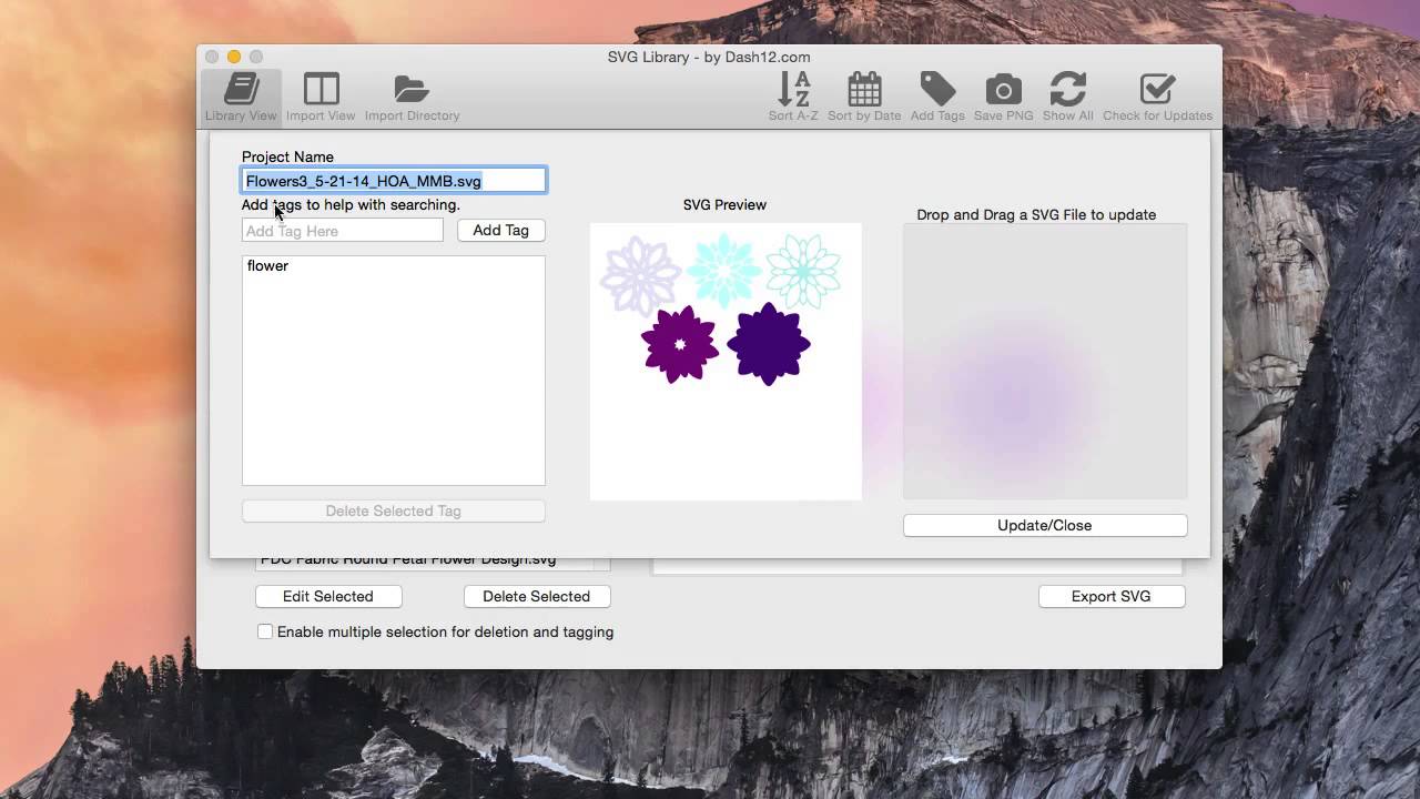 Renaming Your Projects in SVG Library