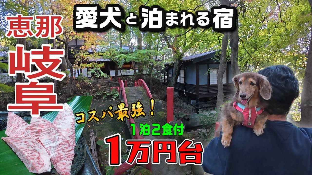【愛犬と泊まれる宿】全室離れのお部屋/個室でゆったり山菜と信州牛のおもてなし