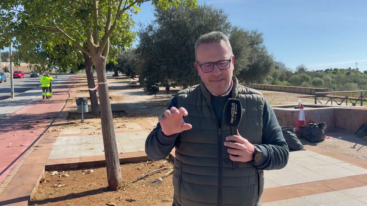 Campaña integral de recogida de naranja agria, poda de naranjos y desbroce en el municipio