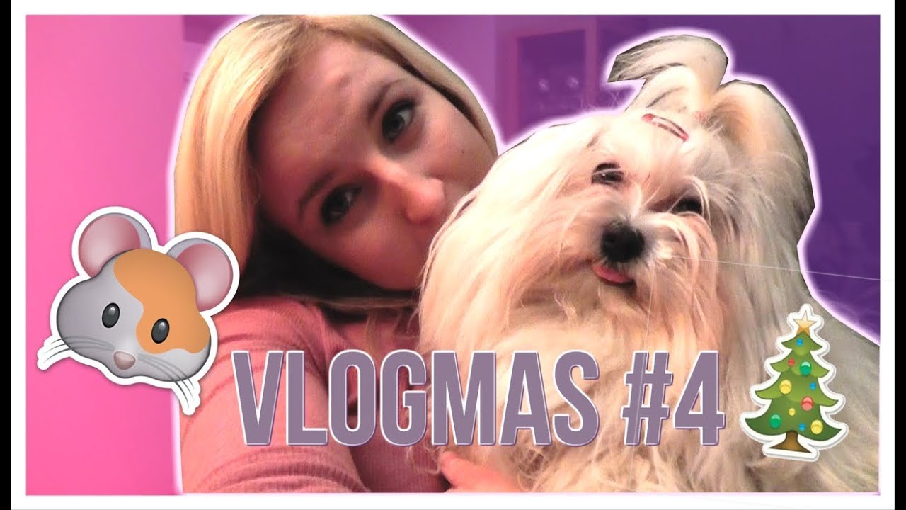 VLOGMAS #4 | Vybavuju křečkům klece!