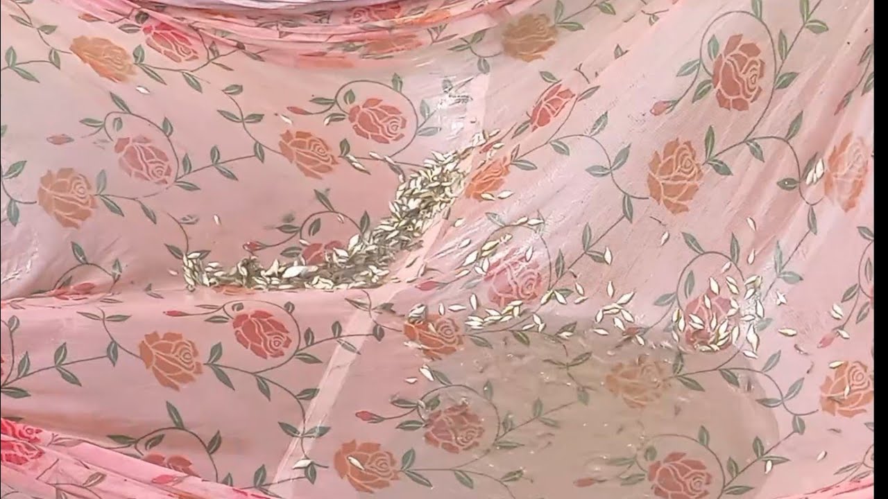 গ্রামের পুকুরে মাছের পোনা পরীক্ষা 🐟Checking Fish Fry in a Village Pond 🐟 