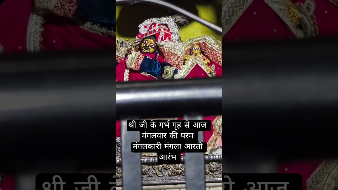 #krishna #sadhubani #barasana #premaanand #love #shyam #shridhamvrindavan#poojapath #radhakrishna#