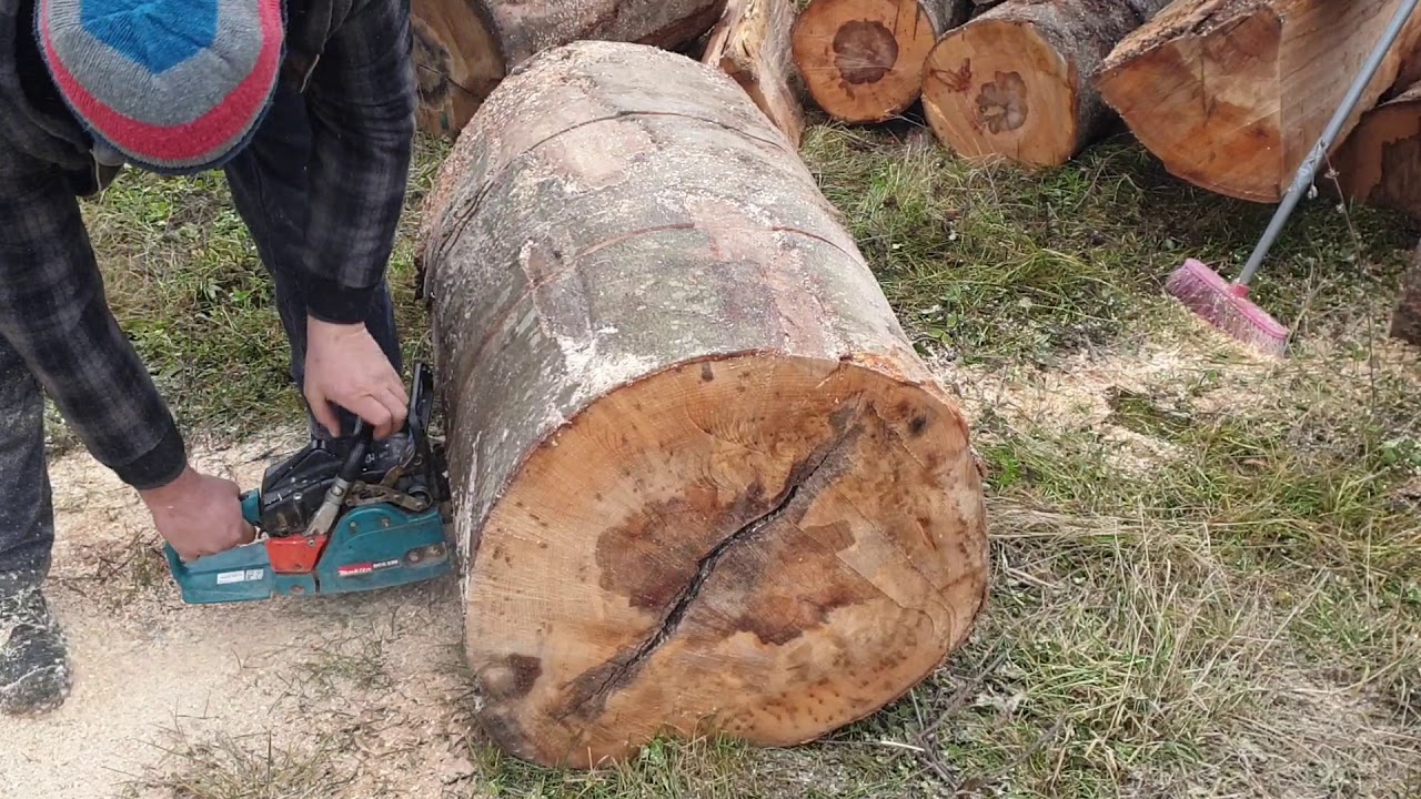 drujba makita dcs 520 la busteni grosi