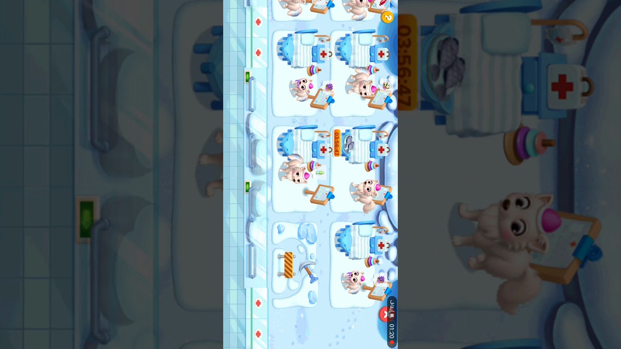 مشفى الحيوانات بالجزيره