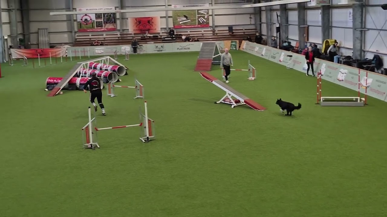 Turnier Riedstadt, 28 02 26, Jim, A3, 1 Fehler 1 Verweigerung Wand vorbei, Platz 2