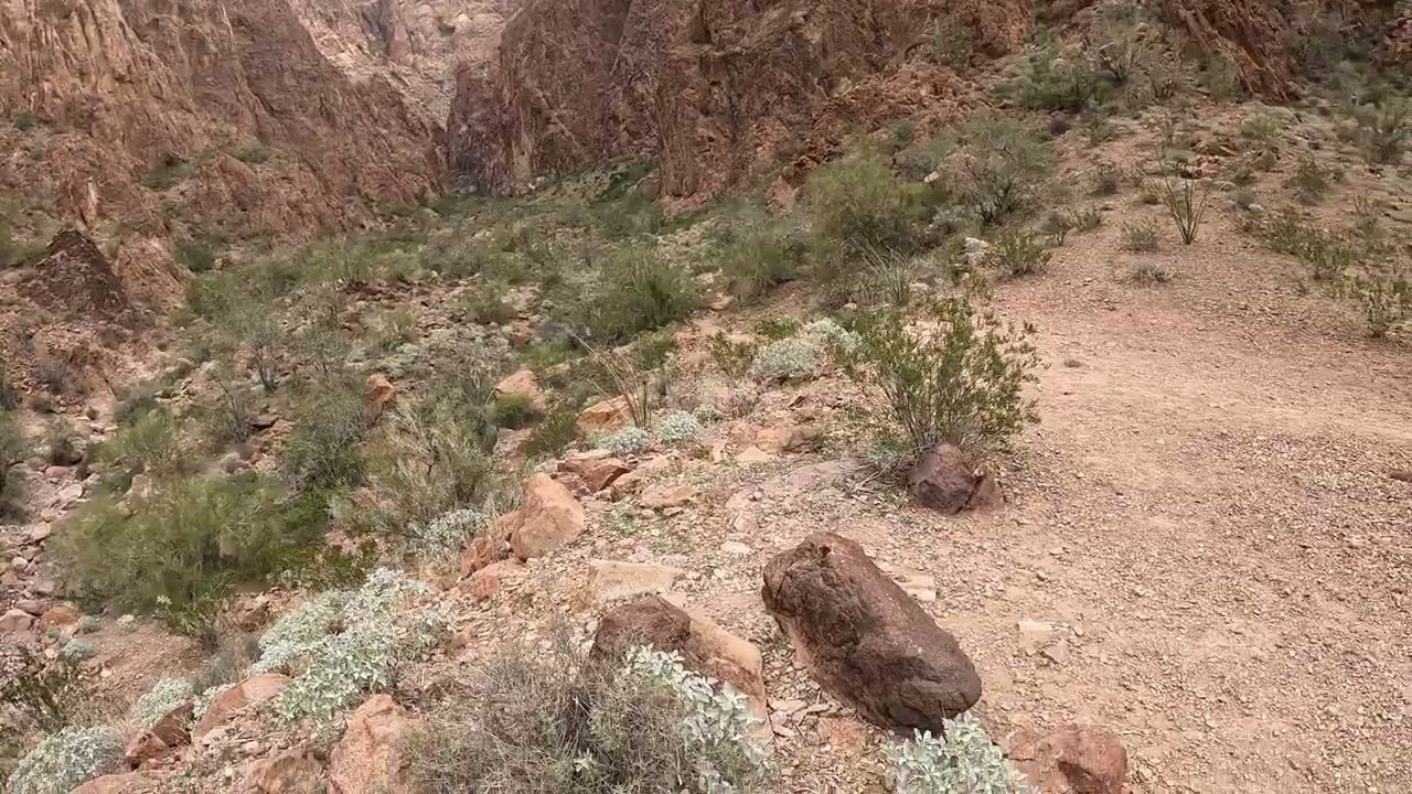 3 of 3 Palm Canyon KofA WR AZ