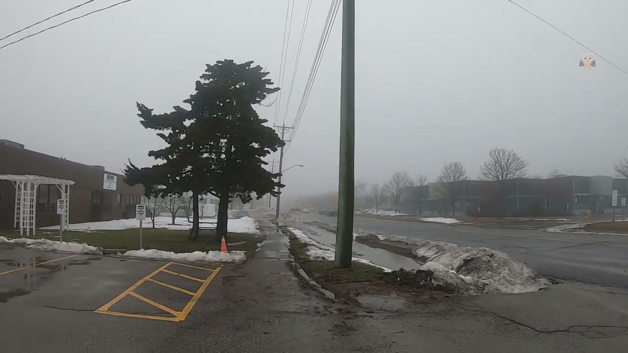 Relaxing Walk on Hazy Winter Noon. Toronto