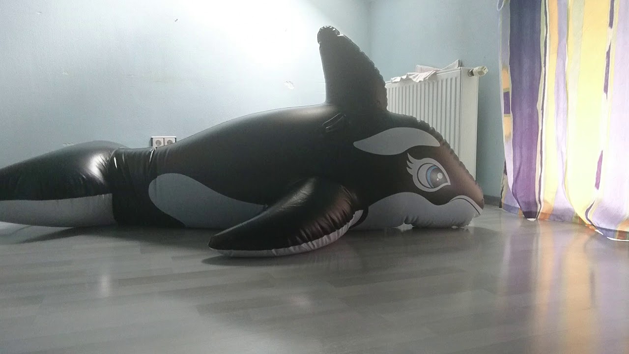 Double Layer Orca Suit