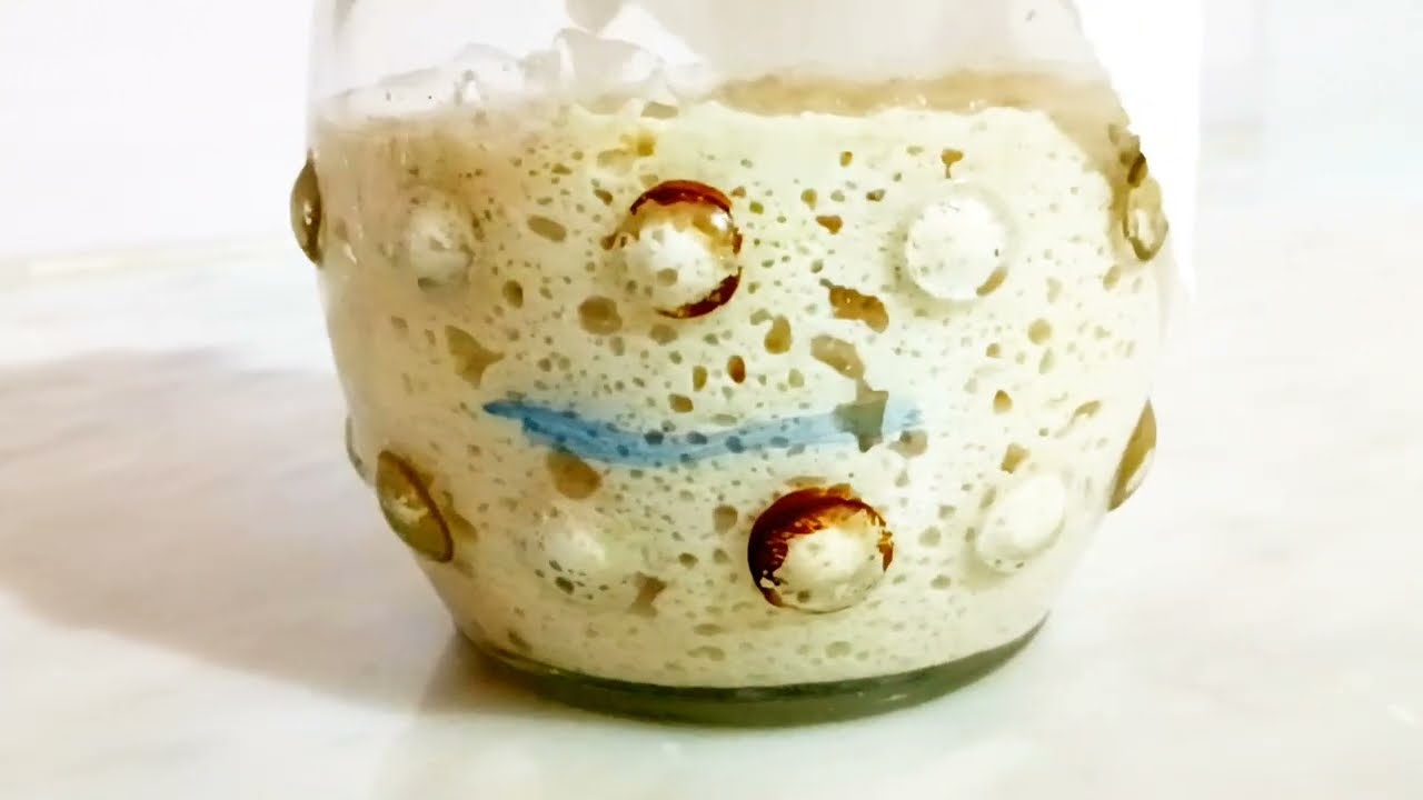 تحضير الخميرة الطبيعية 😍 ،تغذيتها وطرق الاحتفاظ بها 💯 ، فوائد الخميرة الطبيعية💥