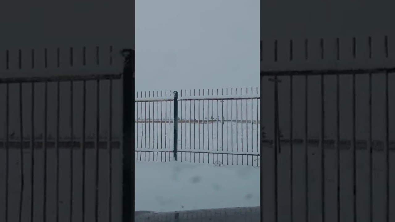 Sabah sabah Aşkale Canlı