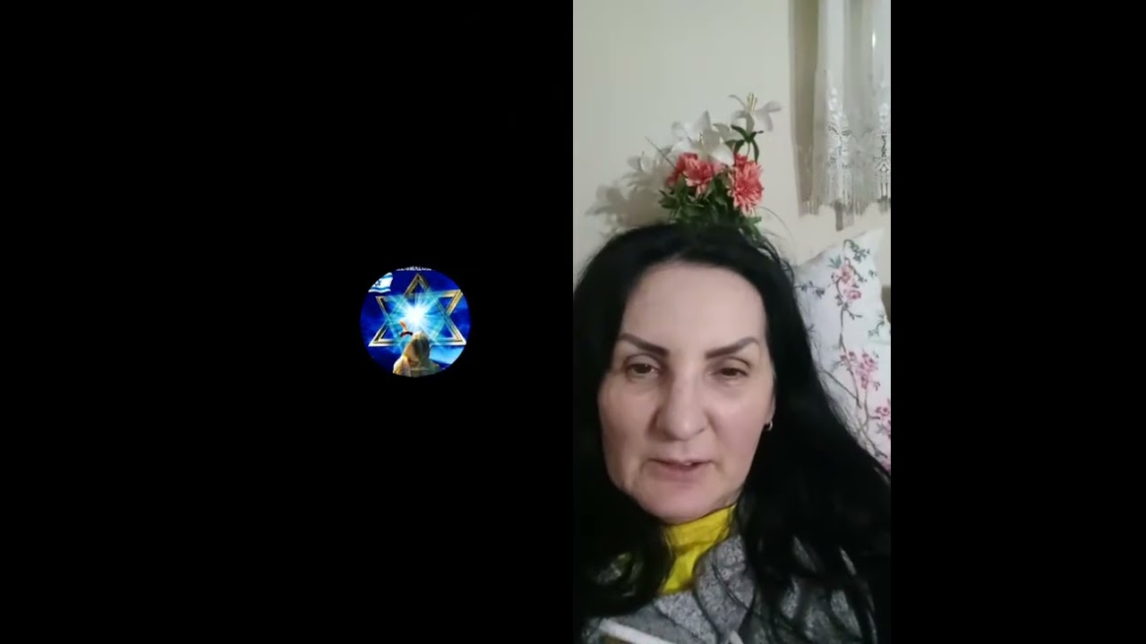 Лучшие моменты трансляции 