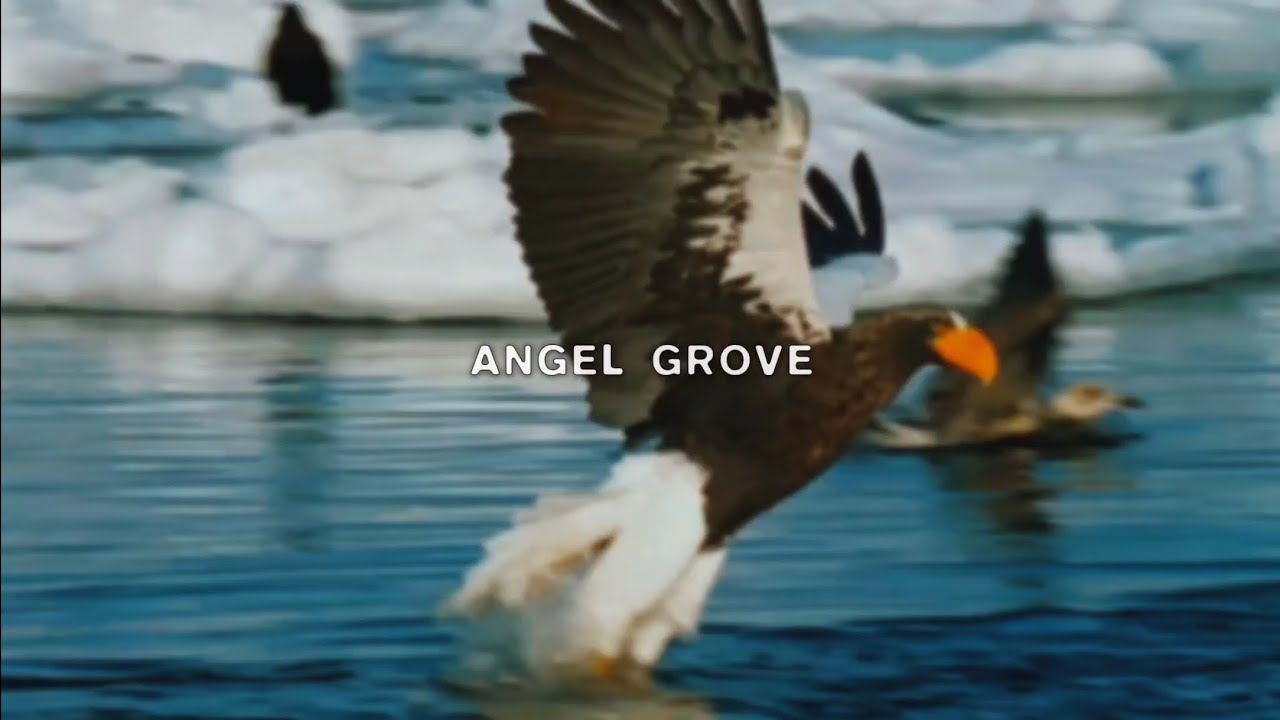 $UICIDEBOY$ - Angel Grove (Legendado) THY WILL BE DONE