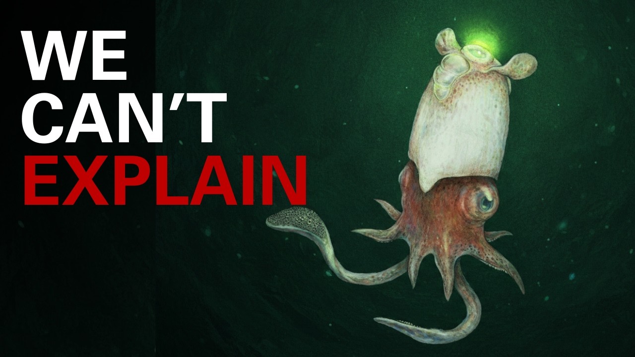 Why Evolution Made Molluscs Into Masters?