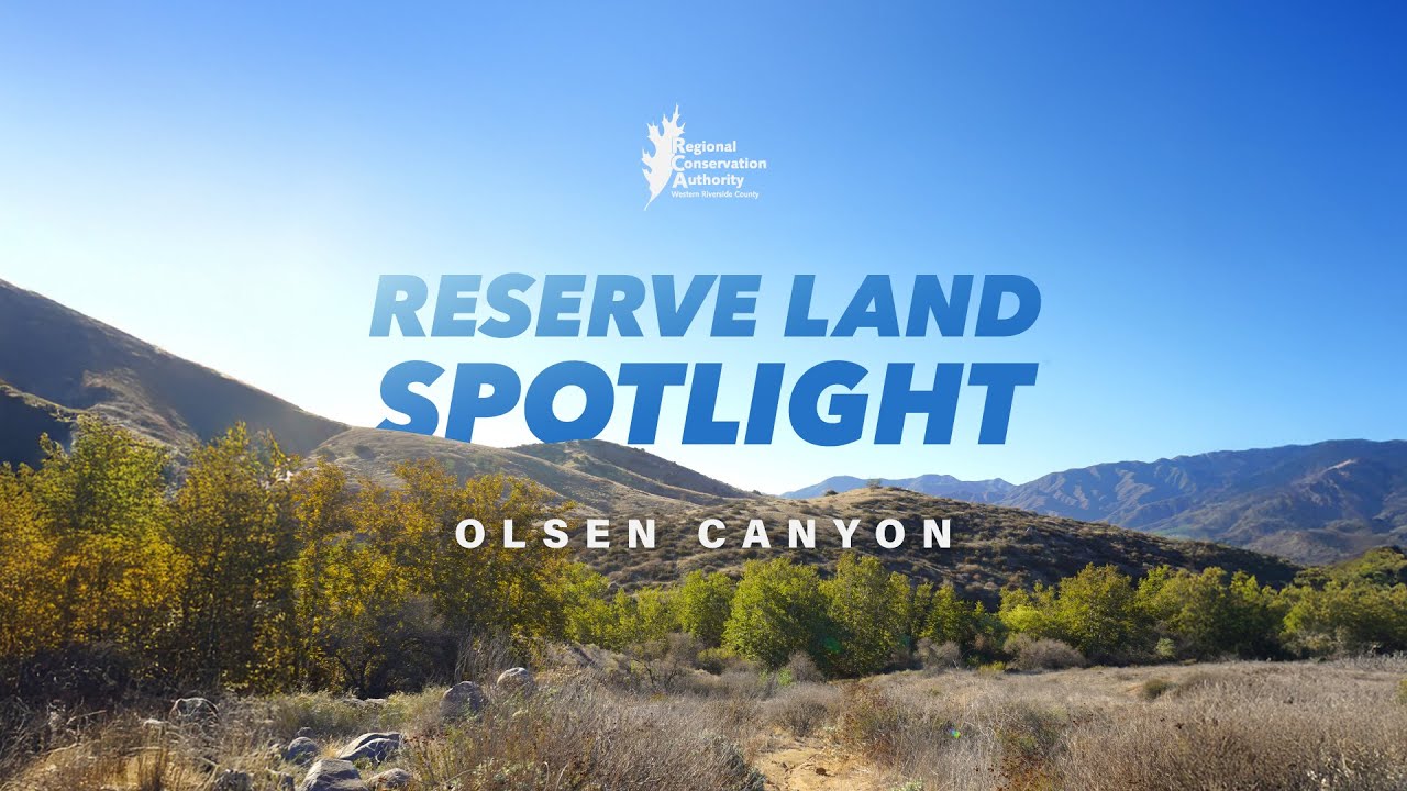 RCA Reserve Land Spotlight: Olsen Canyon