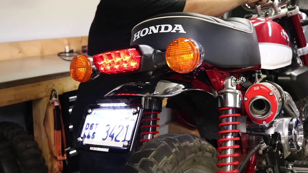 Step-by-Step Installation! Yoshimura Fender Eliminator on a 2019 Honda Monkey 125