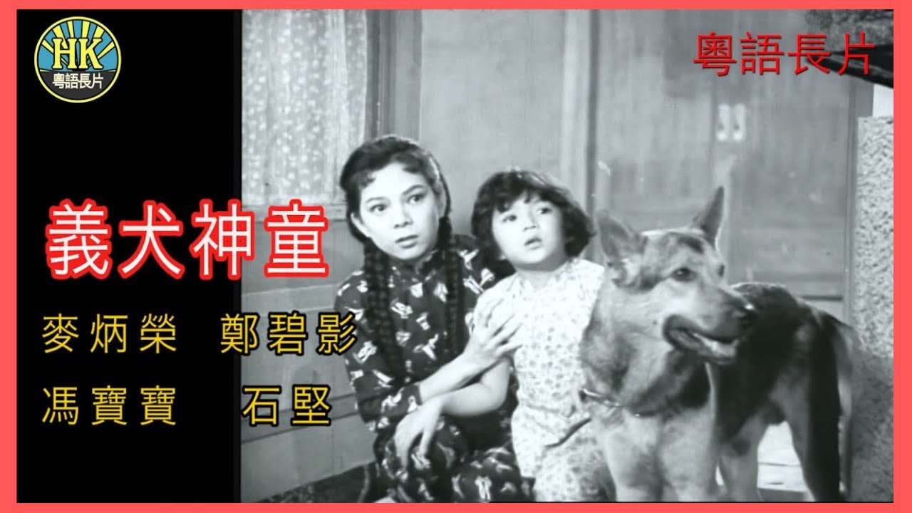 《粵語長片 》義犬神童 (1961)｜麥炳榮 | 鄭碧影 | 馮寶寶 | 石堅 | 導演：龍圖 | 香港電影 | 香港粵語電影 | 粵語中字