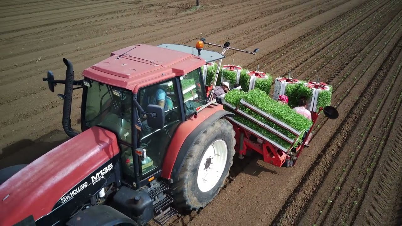 ΦΥΤΕΥΣΗ 2023 ΑΦΟΙ ΔΗΜ.ΜΑΚΡΗ